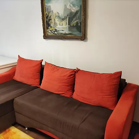 Luxury And Free Parking Steaua *