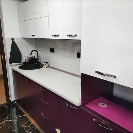 Luxury And Free Parking Steaua *