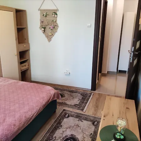 Luxury And Free Parking Steaua Lejlighed