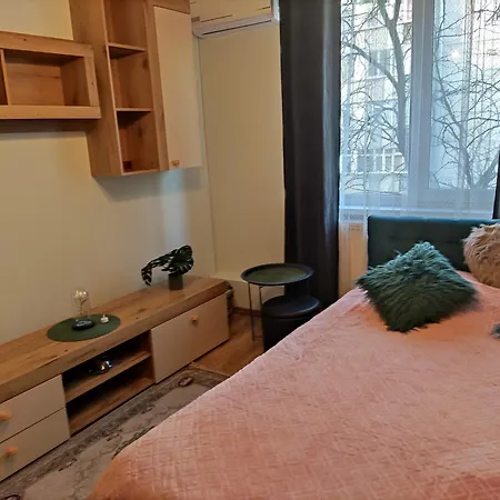 Lejlighed Luxury And Free Parking Steaua